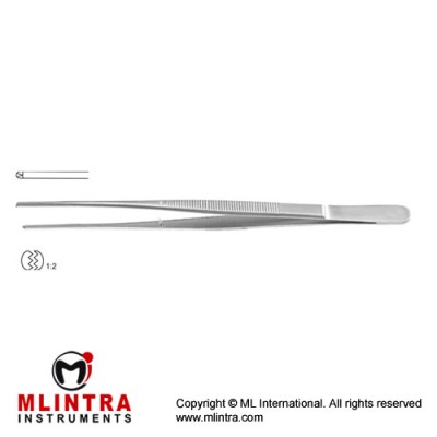 Potts-Smith Dissecting Forceps 1 x 2 Teeth Stainless Steel, 24 cm - 9 1/2"